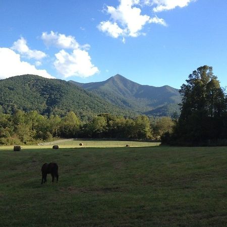 Hotel Pisgah View Ranch Candler Zewnętrze zdjęcie