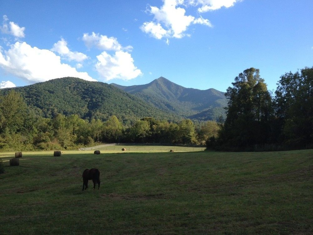 Hotel Pisgah View Ranch Candler Zewnętrze zdjęcie