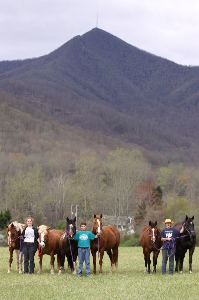 Hotel Pisgah View Ranch Candler Zewnętrze zdjęcie